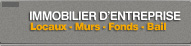 immobilier entreprise besancon